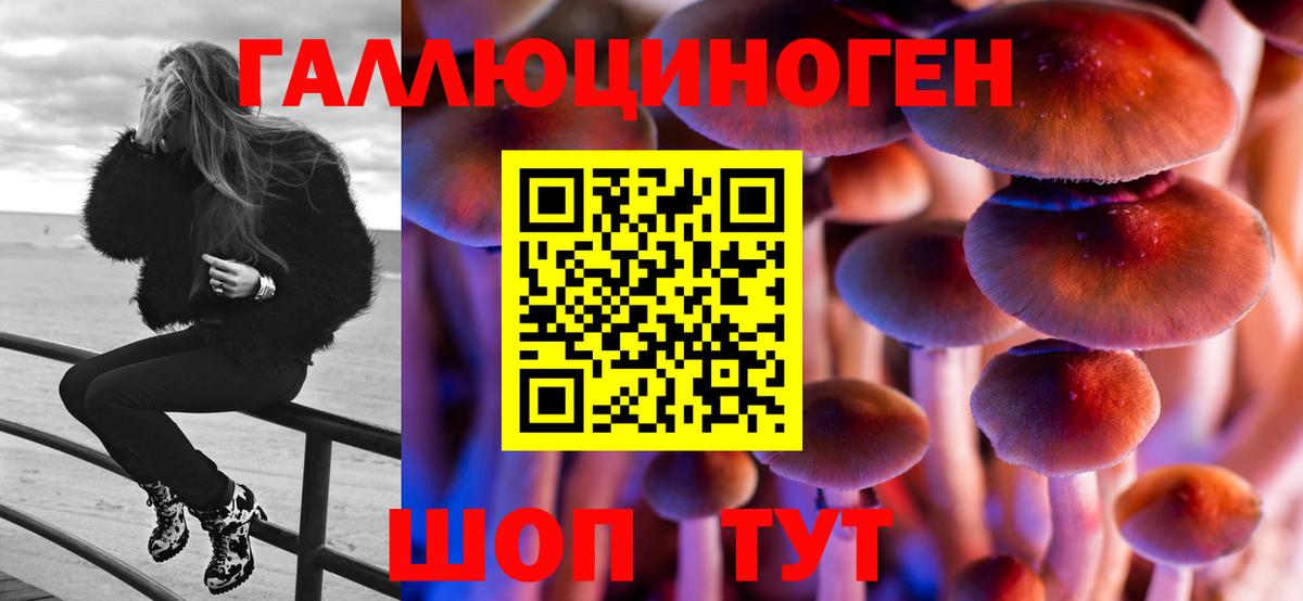 Светлоград  Псилоцибиновые грибы Psilocybe  Вход с VPN 